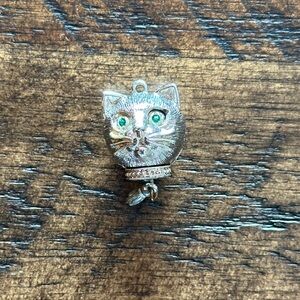 Beautiful Three-Dimensional Cat